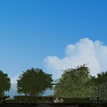 Lush Green Bushes In Garden Landscape With Blue Sky White Clouds Trees Flowers And Stones