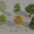 Various Types of Arbor Trees with Green and Yellow Foliage in Natural Scene