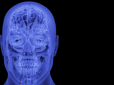 Advanced Medical Device For 3D Imaging Of Human Head Skull And Brain Structures 3d model