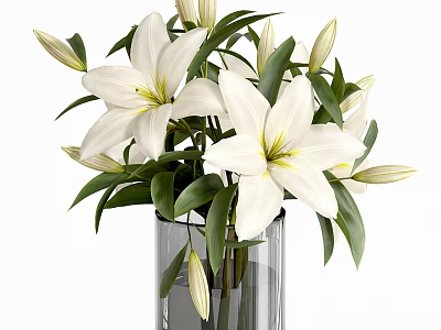 White Lily Bonsai Plant in Clear Glass Vase with Green Leaves and Fresh Buds 3d model
