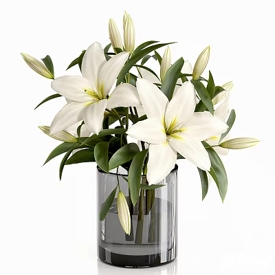 White Lily Bonsai Plant in Clear Glass Vase with Green Leaves and Fresh Buds 3d model