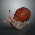 Snail With Red Shell Textured Body And Long Antennae On Gray Background