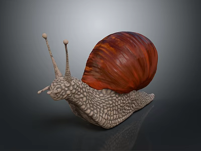Snail With Red Shell Textured Body And Long Antennae On Gray Background 3d model