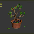 Potted Plant With Red Flowers Brown Trunk Red Textured Pot And Scattered Red Petals