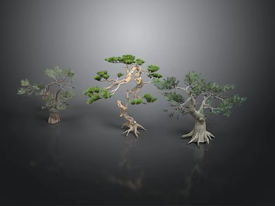 Bonsai Trees With Different Forms Twisted Trunks And Lush Foliage On Black Smooth Surface 3d model