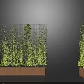 Vertical Green Plant Walls Growing On Metal Mesh With Wooden Planter Bases