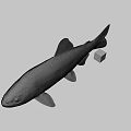 Animated Game Movie Fish Character With Rubik Cube On Gray Background