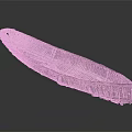 Feather Shaped Wooden Boat With Colorful Thin Slices Glossy Surface Smooth Gray Background And Reflection