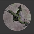 Twisted Dead Tree with Green Moss and Small Human Figure on Circular Base 3d model