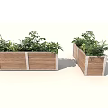 Decorative Wooden Planter Boxes With Lush Green Plants For Garden Decoration