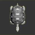 Turtle Turtle Cartoon Turtle Snapping Turtle Chickbill Turtle Reptile Cold Blooded Animal Reptile Reptile Class 3d model