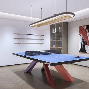 Table Tennis Room Table Tennis Table Recreation Room 3d model