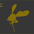 Close Up View of Green and Yellow Wasp with Transparent Wings on Dark Background