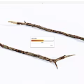 Natural Stone Wood Branches Featuring Rough Texture and Brown Tones on White Background
