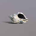 Detailed Natural Spiral Seashell With White Brown Texture On Gray Background