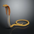 Yellow and brown patterned cobra with raised head and coiled body on black background
