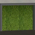 Modern Indoor Green Plant Wall Design With Lush Evergreen Plants Decoration