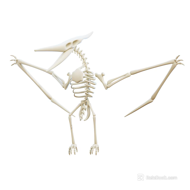 Unique Dinosaur Skeleton Decorative Ornament Set for Home Display Decoration 3d model 