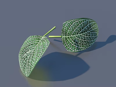 Two Green Leaves With White Veins On Gray Background Decor 3d model