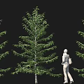 Garden landscape tree flower bed tree pool small tree 3d model
