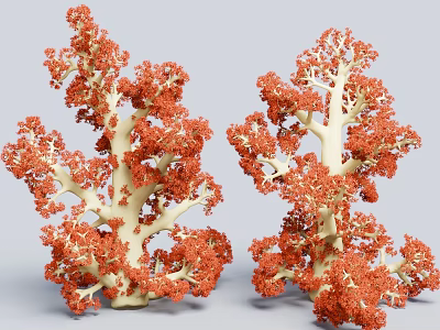 Vibrant Red Coral Polyps With Intricate Branching Skeletal Structures 3d model