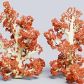 Vibrant Red Coral Polyps With Intricate Branching Skeletal Structures 3d model