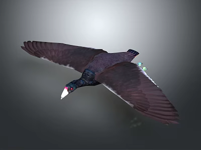 Flying Bird With Dark Colored Feathers White Beak Red Eyes And Green Spots 3d model