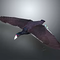 Flying Bird With Dark Colored Feathers White Beak Red Eyes And Green Spots