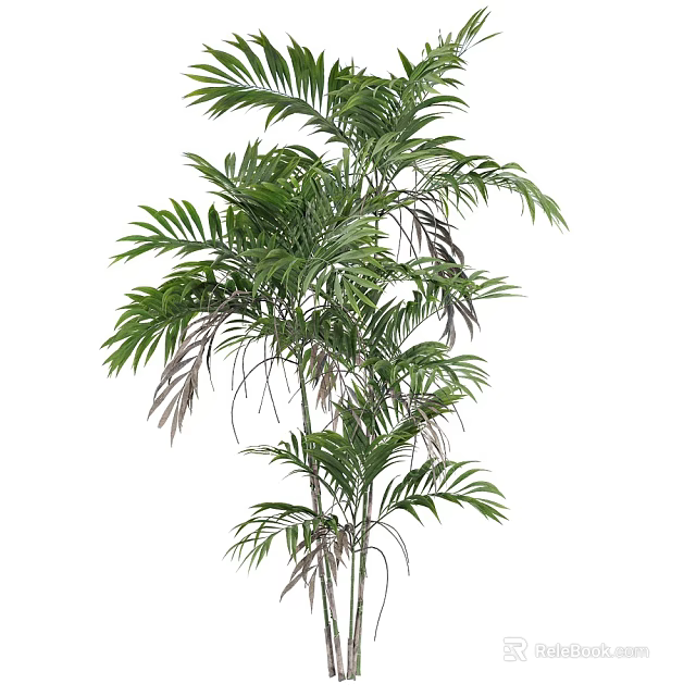 Ergonomic Dining Chair With Lush Palm Tree Accent For Modern Home Interior 3d model 