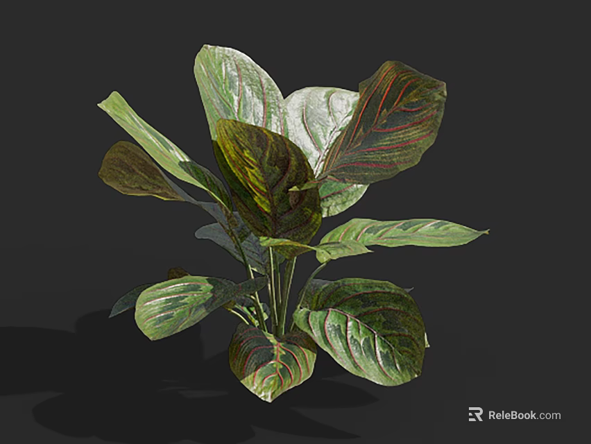 Lush Bonsai Potted Plant With Large Variegated Green And Brown Leaves For Indoor Decor 3d model 