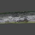 Cracked Gray Asphalt Road Surface With Green Vegetation On Edges