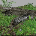 Vibrant Flowers and Lush Green Plants Around Weathered Log in Natural Grass Setting