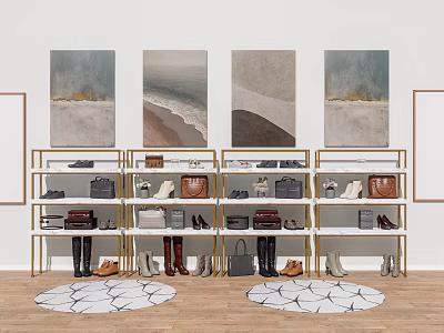 Various Shoes Displayed on Golden Metal Shelves With Coastal Wall Art and Round Rugs 3d model
