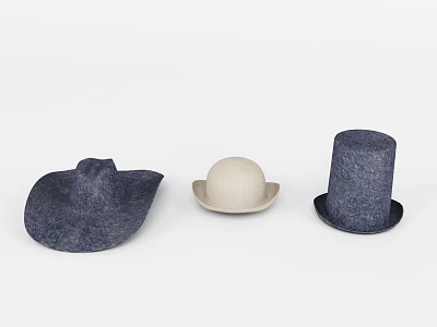 Three Stylish Hats Featuring Wide Brim Round Crown And Tall Wool Designs 3d model Three Stylish Hats Featuring Wide Brim Round Crown And Tall Wool Designs 3d model