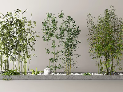 Bamboo Plants For Interior Decoration With Stones And Decorative Ball 3d model