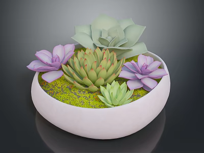 Succulent Plants in White Bowl with Purple Flowers Green Leaves and Lush Moss 3d model