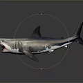 Gray Shark With Open Mouth Sharp Teeth And Dorsal Fin 3d model