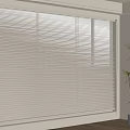 Light Colored Window Blinds in Modern Room Interior with Potted Plant and Wooden Floor