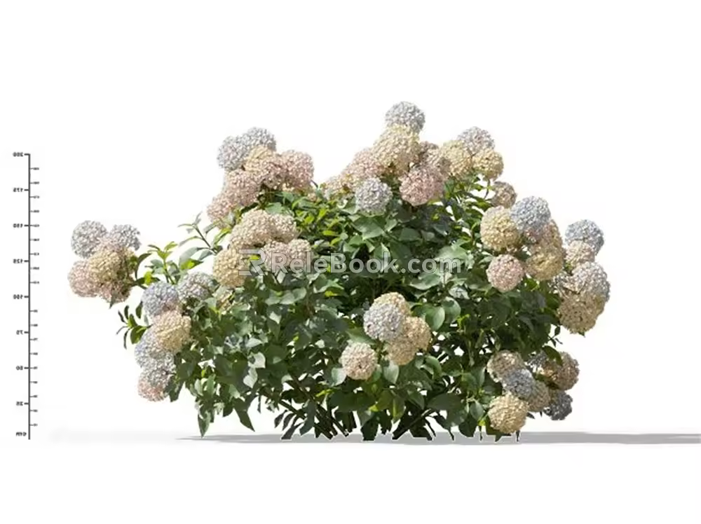 Modern Hydrangea 3d model