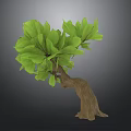 Natural Wooden Trunk Decorative Plant With Lush Green Leaves For Home Decor