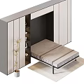 Modern Hidden Wall Bed Design With Cabinet Storage Plant And Rug 3d model