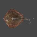 Brown Flat Body Stingray Game Movie Character With Long Tail And Gray Background