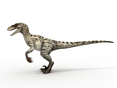 Standing Velociraptor Dinosaur With Striped Skin Long Tail Open Mouth And Sharp Claws 3d model