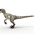 Standing Velociraptor Dinosaur With Striped Skin Long Tail Open Mouth And Sharp Claws