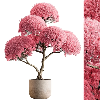 Elegant Bonsai Tree with Pink Blossoms and Artistic Twisted Trunk in Minimalist Ceramic Pot 3d model