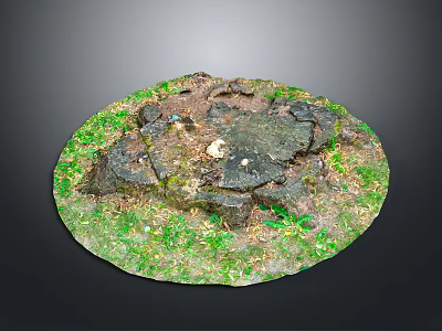 Round Natural Ground With Black Stone Green Grass Mud And Small Scattered Stones 3d model