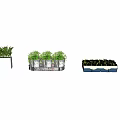 Bonsai Potted Plants Arranged In Different Containers On Outdoor Terrace With Green Foliage
