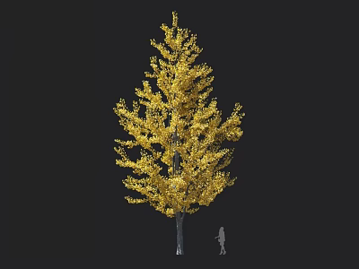 Tall Deciduous Arbor with Golden Foliage and Human Figure Against Dark Backdrop 3d model
