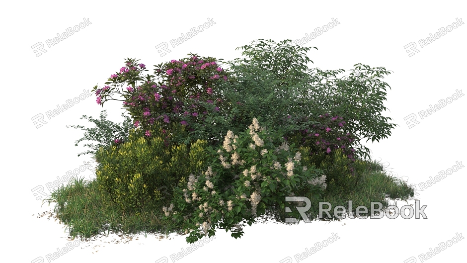 shrub plant combination model