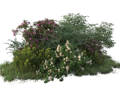 Various Types Of Garden Shrubs With Purple Flowers Green Leaves And Yellow Foliage 3d model